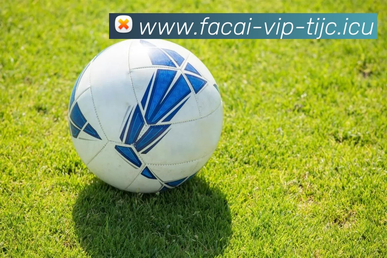 九游体育品牌故事